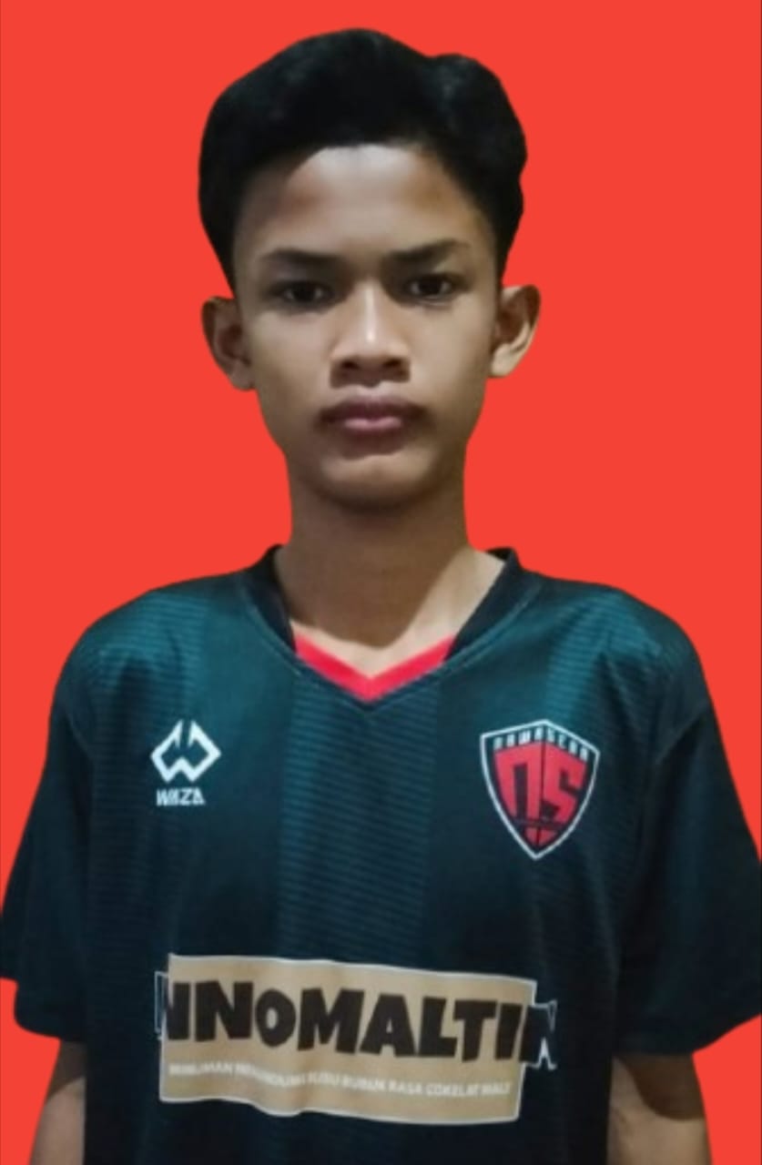 Danish Amsyar Naufal